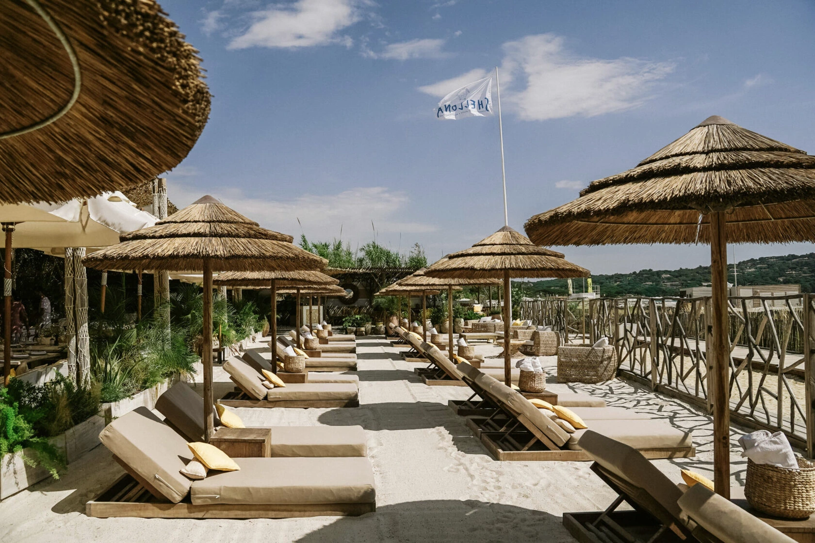 Ash Birthday Relaxation